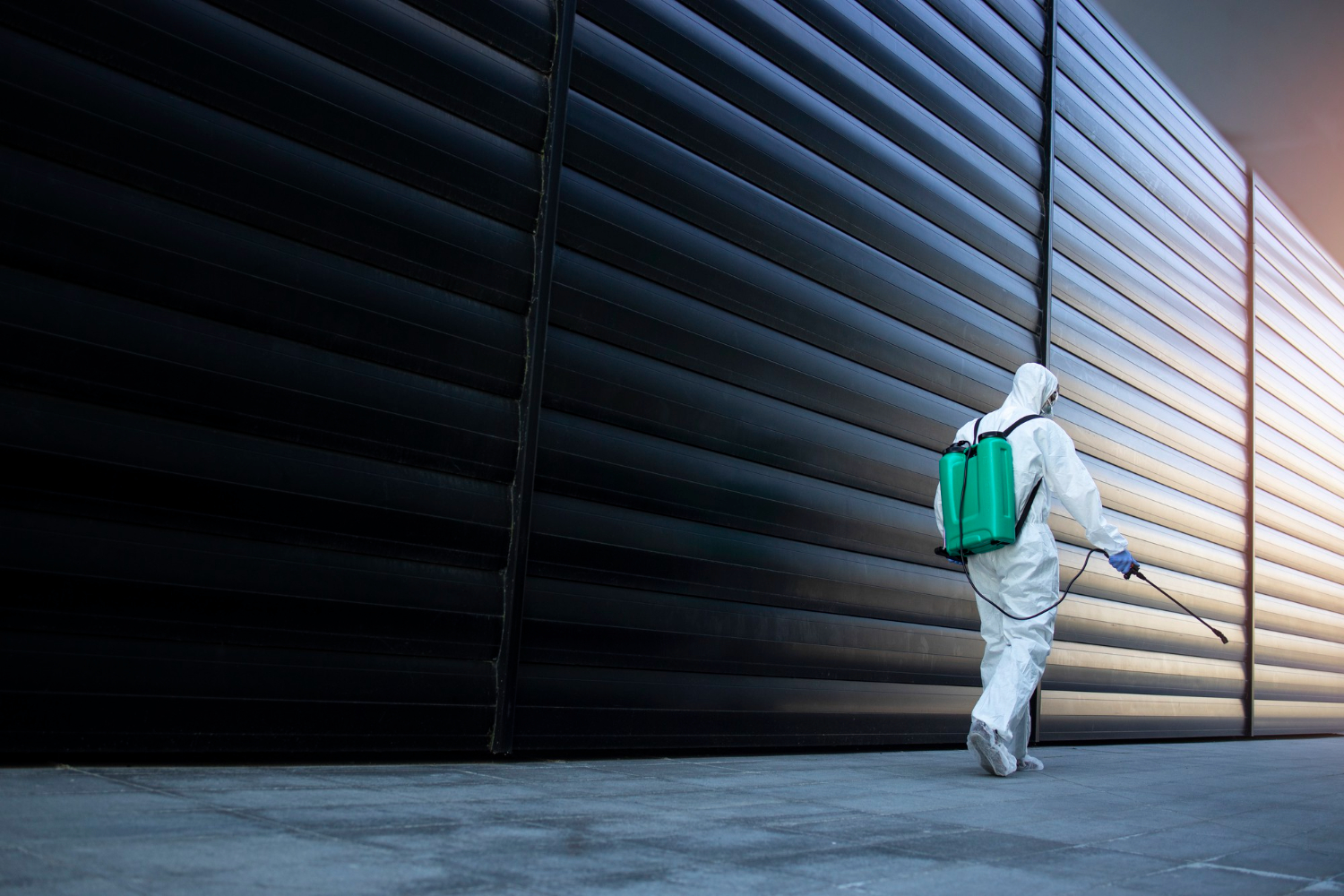 Residential & Commercial Pest Control