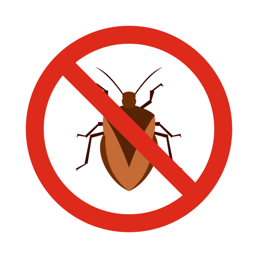 Termite Pest control in Delhi