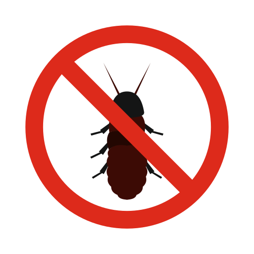 Termite Pest control in Delhi