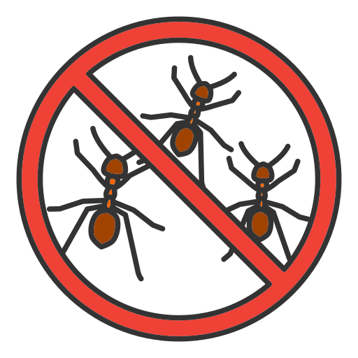Ant Control Services