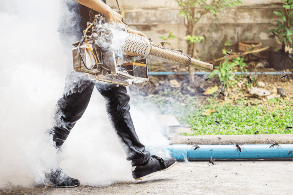 bed bug Pest Control